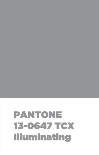 Pantone Ultimate Gray